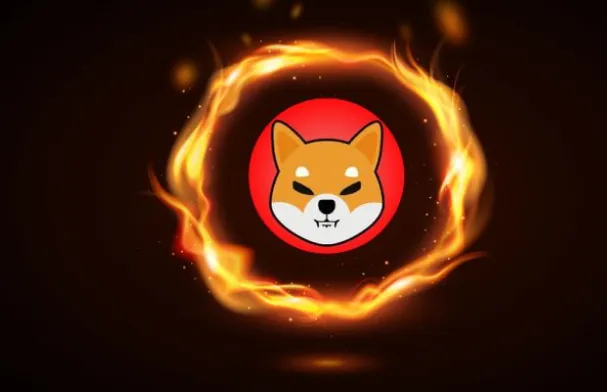 Shiba Inu \(SHIB\)
