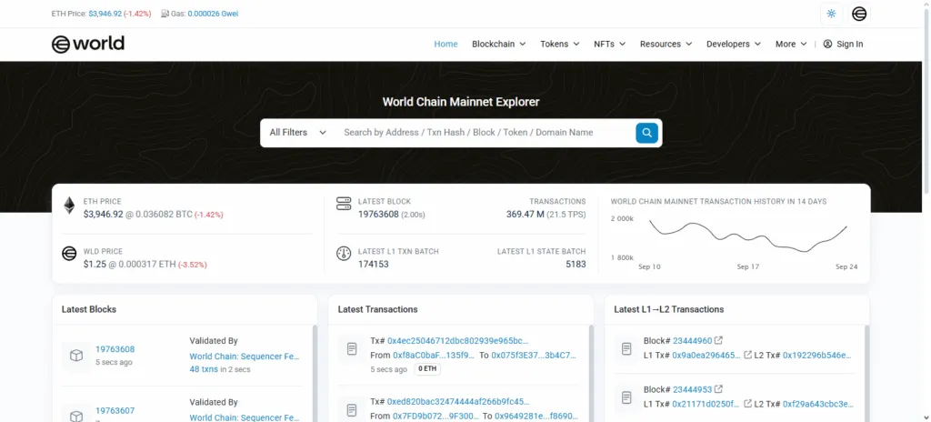 Step 3: Enter World Chain Network Details